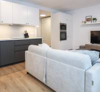 Nappali egy egyszobás lakásban konyhabútorral, kanapéval és fa dekor padlóval.