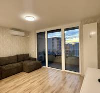 Nappali egy kétszobás lakásban kanapéval, étkezőasztallal és fa dekor padlóval.