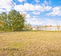 Családi ház kertje Nagykosihán gyepesítéssel és fákkal.