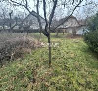 Gyümölcsfákkal, bokrokkal és gyepes területtel rendelkező kert, ideális lakhatásra és szabadidő eltöltésére.