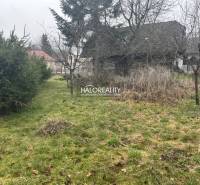 A képen egy kiterjedt terület látható, fűvel, fákkal és egy régi fészerrel.