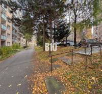 Dunajská utca Nyitrán fákkal és lakóházakkal szegélyezve, a 2 szobás lakás felé.