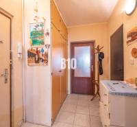 Előszoba egy kétszobás lakásban folyosóval, zárt ajtókkal és tárolóhelyiségekkel.