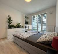 Világos hálószoba fa dekor padlóval, növényekkel, ággyal és fehér komóddal egy kétszobás lakásban.