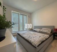 Hálószoba egy kétszobás lakásban ággyal, növénnyel és fa dekorációjú padlóval.