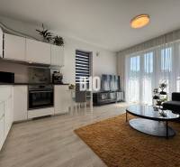 Nappali konyhasarokkal, fa dekoros padló, 2 szobás lakás.