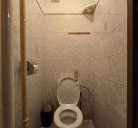 Fürdőszoba WC-vel csempézett falakkal, látható egy kuka és WC-papír.