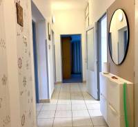 Folyosó egy 3 szobás lakásban virágos tapétával és tükörrel a falon.