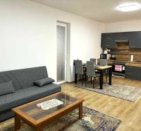 A kétszobás lakás nappali része kanapéval, konyhasarokkal és fa dekorációjú padlóval.