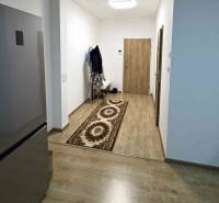 Előszoba egy kétszobás lakásban fa dekor padlóval és szőnyeggel.