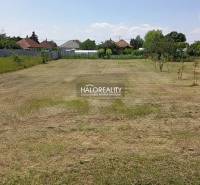 Gondozott gyep Marcelova kertjeiben, kilátással a környező házakra.