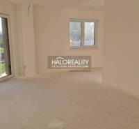 Családi ház belső tere nagy ablakkal, fehér falakkal és teraszajtókkal.