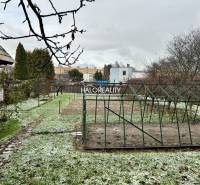 Családi ház kertje Prievidzán gyepesítéssel és termesztési szerkezettel.