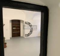 Irodák belső tere fehér falakkal és fekete díszítésekkel, növények a padlón.