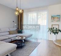 Nappali egy családi házban kényelmes kanapéval, fa dekorációjú padlóval és növényekkel.