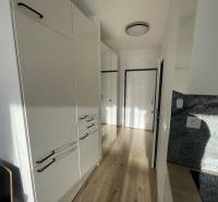 Folyosó egy egyszobás lakásban fehér szekrényekkel és fa dekorációjú padlóval.