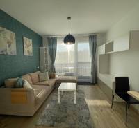 Nappali egy egyszobás lakásban kanapéval, szarvas dekorációval és fa mintázatú padlóval.