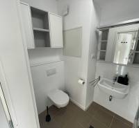 Fürdőszoba mosdóval és WC-vel, tárolószekrényekkel és tükörrel felszerelve.