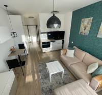 1 szobás lakás belső tere konyhával, kényelmes kanapéval és fa mintázatú padlóval.