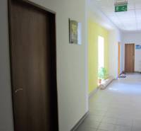 Folyosó ajtókkal és növénnyel a Štúrova utcán, az irodák felé vezet.