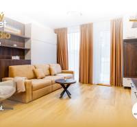 Nappali egy egyszobás lakásban, fa dekorációjú padlóval és kényelmes kanapéval.