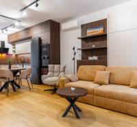 Egy szobás lakás belső tere világos padlóval, fa dekorációval és hangulatos ülőhellyel.