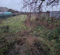 Családi ház kertje a Nagy utcában, Nagymácsédon, kerítéssel és természettel.