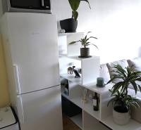 Konyhasarok egy kétszobás lakásban fehér hűtőszekrénnyel és polcokon lévő növényekkel.