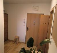 Folyosó egy kétszobás lakásban, fa dekoros padlóval és zöld növénnyel.