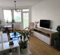 Nappali egy kétszobás lakásban fa mintázatú padlóval és sok növénnyel.