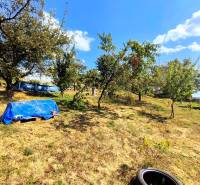 Kert a partizánskei háznál gyümölcsfákkal és kék medencével.