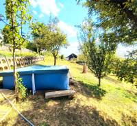 A képen egy kert látható medencével és fákkal, valamint zölddel körülvett házikóval.