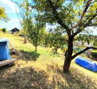 A lejtőn fák, gyep, egy faház és egy fedett medence található a tágas kertben.