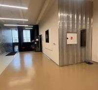 Irodai folyosó fényes padlóval, lifttel és dekoratív növényfallal.