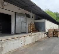 Raktárak és csarnokok a Vasúti utcában raklapokkal és tetővel, mellettük bokrok.