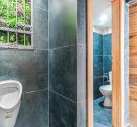 Modern WC egy szállodában sötét csempékkel és zöld dekorációs elemmel.