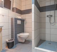 Fürdőszoba a szállodákban és panziókban WC-vel, mosdóval és zuhanyzóval.