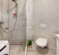 Fürdőszoba egy 3 szobás lakásban WC-vel, zuhanyzóval, mosógéppel és dísznövényekkel.