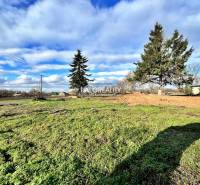 Fenyőfákkal borított füves telek Ondrejovce-ben, ideális lakhatásra.