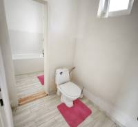 Fürdőszoba családi házban WC-vel, káddal és fa dekorációjú padlóval.