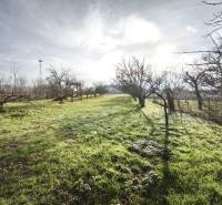 Családi ház kertje Lúčnica nad Žitavou-ban fákkal és füves növényzettel.