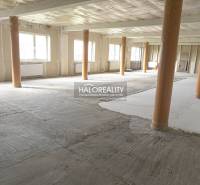 Nyitott terű üzlethelyiség látszó faoszlopokkal.