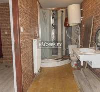 Fürdőszoba üzleti helyiségekben fa dekorációval a falakon és zuhanyzóval.