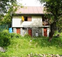 Hangulatos kunyhó buja zölddel és fákkal körülvéve, természeti környezetben.