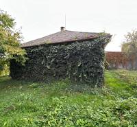 Kalša-i családi ház sűrű borostyánnal benőve és zölddel körülvéve.