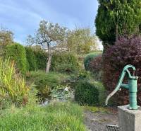 Egy családi ház kertje Kalšán régi szivattyúval és sok zölddel.