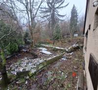 Családi ház kertje a Búdková utcában, Pozsony - Óváros, fák és kövek.