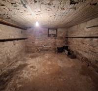 Családi ház téglafalú és beton mennyezetű vakolatlan pincéje.