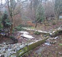 Családi ház kertje a Búdková utcában, Pozsony - Óváros, törött kerítéssel és fákkal.