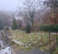 Családi házhoz tartozó lombos kert a Pozsony - Óváros Búdková utcájában.